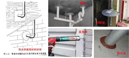 4月爱国卫生月:哪些老鼠飞檐走壁擅游泳?专业人士指点灭鼠高招