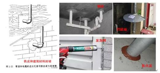 【百姓与PCO】天凉好个秋!将家居老鼠拒之门外 “查看堵封断清”六步搞定