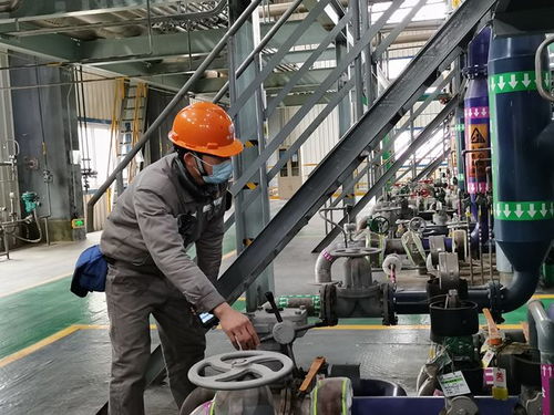 田东 防疫保供两不误 工业农业复工忙